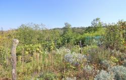 Two Houses with a Garden in a Hillside Residential Area - DGL218 36