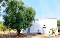 172504 - Farmhouse for renovation 1