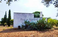 172504 - Farmhouse for renovation 3