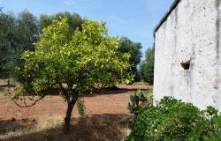 172504 - Farmhouse for renovation 4
