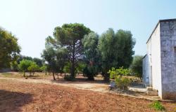172504 - Farmhouse for renovation 6