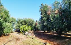 Casolare 9