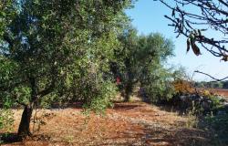 Casolare 10