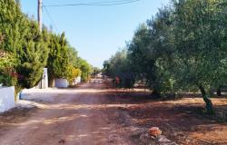 Casolare 14