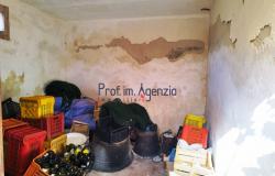 Casolare 7