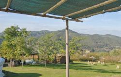 Country house, glamping, for sale in langhe area