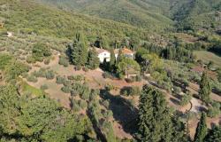 Villa Castiglion Fiorentino 7