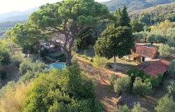 Villa Castiglion Fiorentino 9