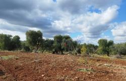 Trulli to be restored/expanded 19