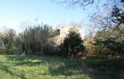 140sqm farm house surrounded by 4 hectares or 9 acres of mainly olive grove, 3.5km to the beach 8
