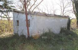 140sqm farm house surrounded by 4 hectares or 9 acres of mainly olive grove, 3.5km to the beach 10