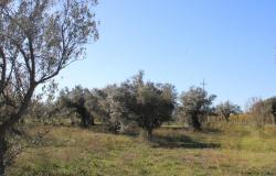 Property for Sale in  Rocca San Giovanni countryside  Chieti Province, in Abruzzo Central Italy.