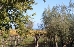 Property for Sale in  Rocca San Giovanni countryside  Chieti Province, in Abruzzo Central Italy.