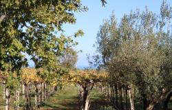Property for Sale in  Rocca San Giovanni countryside  Chieti Province, in Abruzzo Central Italy.