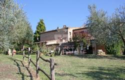 Il Gelsomino di Penna 15
