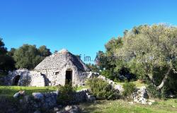 Trulli to be restored/expanded - 172643 0
