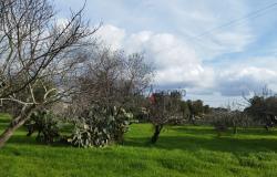 Villa in the countryside - 192648 19