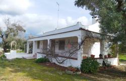 Villa in the countryside - 192648 2