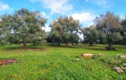 Trulli and lamia complex - 132536 19
