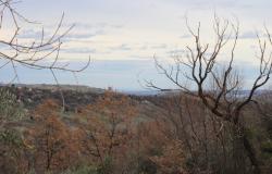 The property offers; ruin with	3 bedrooms of 130sqm which is detached 0 bathrooms 10 sqm of terrace 0 balconies 10000sqm of garden off-road parking. 1