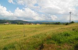 A country house surrounded by over 7 hectares of grounds 1