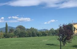 Gardens5