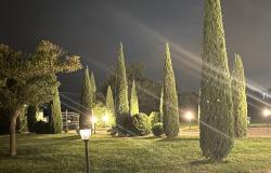 Garden by Night