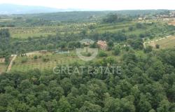 Podere San Pietro 10