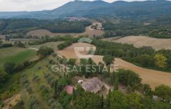 Podere Tarlatello 9