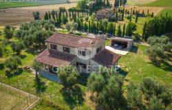 Podere Girasole 10
