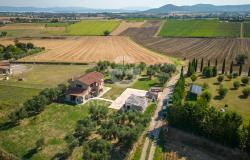 Podere Girasole 11