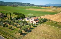 Podere Girasole 14
