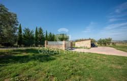 Podere Girasole 1
