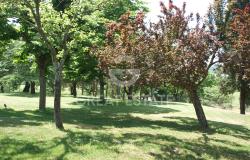 Il Ponticello del Picchio 12