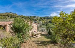 Podere Toscano 15