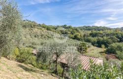 Podere Toscano 11