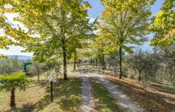 Podere Toscano 9