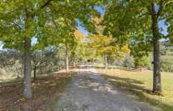 Podere Toscano 8