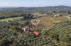 Podere Albedo 8