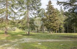 La Montana di Rota secca 8