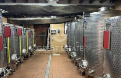 Tenuta Vinicola Sagrantino e Vista 15