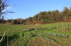 Country House with Panoramic Views and 8 Hectares of Land / DEG001
