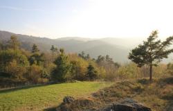 Country House with Panoramic Views and 8 Hectares of Land / DEG001