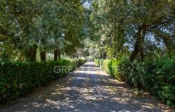 Villa il Parco Secolare 11