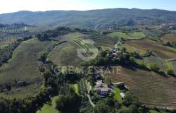 Tenuta Agricola Colle degli Etruschi 1