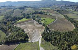 Tenuta Agricola Colle degli Etruschi 6