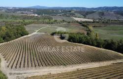 Tenuta Agricola Colle degli Etruschi 12