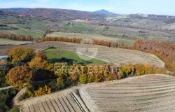 Tenuta Agricola Colle degli Etruschi 7