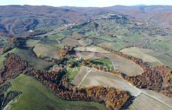 Tenuta Agricola Colle degli Etruschi 8