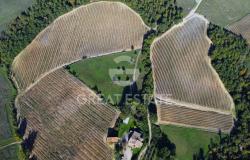 Tenuta Agricola Colle degli Etruschi 9
